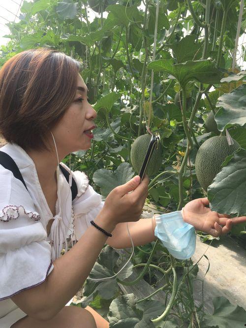 新疆吃瓜网红叫什么名字,瓜界新宠，带你领略西域风情  第3张